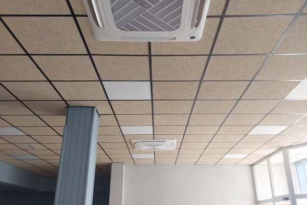 20240701_155536 20240701_155536