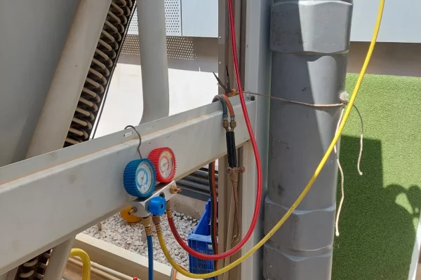 20240808_124320 20240808_124320