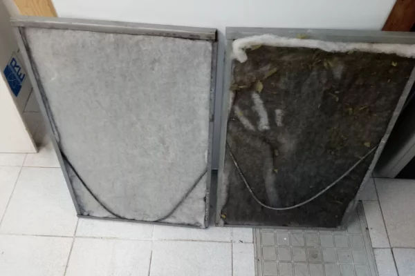 IMG_20201110_173007 IMG_20201110_173007