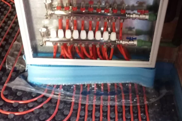 IMG_20220105_173716 IMG_20220105_173716