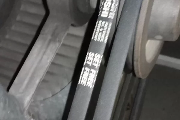 IMG_20220112_115937 IMG_20220112_115937